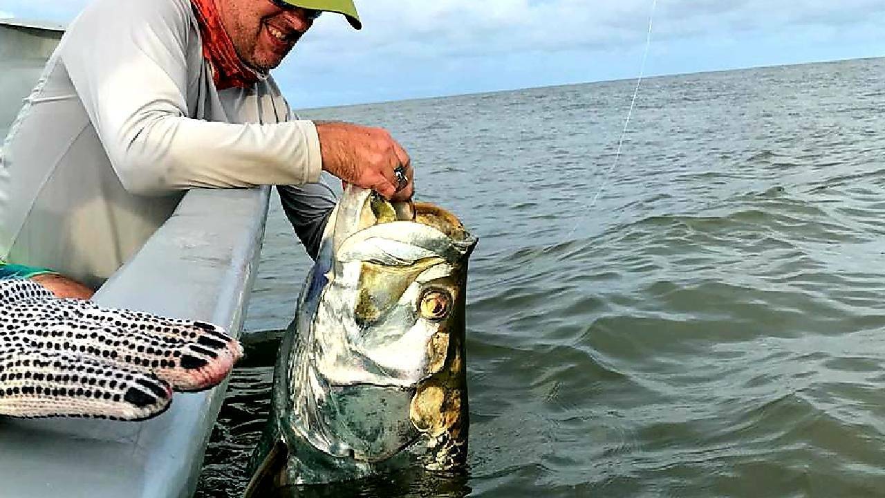 The Silver King: Tips for Tarpon Fishing – WindRider